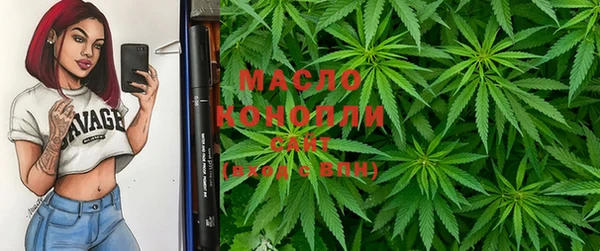 сатива Пересвет