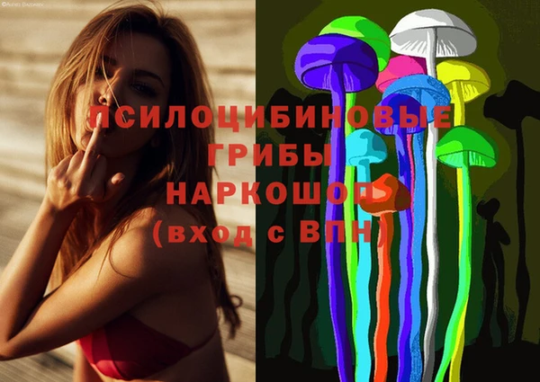 хмурый Волосово