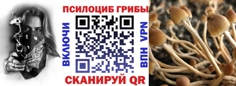 Псилоцибиновые грибы MAGIC MUSHROOMS Нальчик